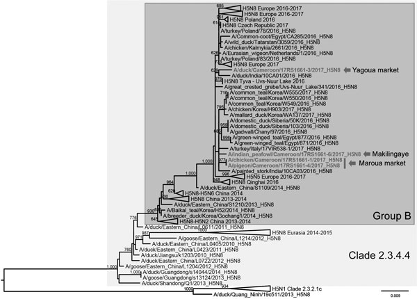 Maximum-likelihood phylogenetic tree of the HA gene of highly pathogenic avian influenza A(H5N8) virus from Cameroon (bold) and reference viruses. Arrows indicate location where Cameroon viruses were obtained. Bootstrap supports &gt;600/1,000 are indicated next to the nodes. Scale bar indicates numbers of nucleotide substitutions per site.