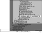 Thumbnail of Phylogenetic tree constructed by the maximum-likelihood method of the hemagglutinin gene segment of 4 isolates of highly pathogenic avian influenza A(H5N8) viruses from the Democratic Republic of the Congo (light gray shading) and reference viruses. Bootstrap supports &gt;600/1,000 are indicated above the nodes. Scale bar indicates number of nucleotide substitutions per site. 