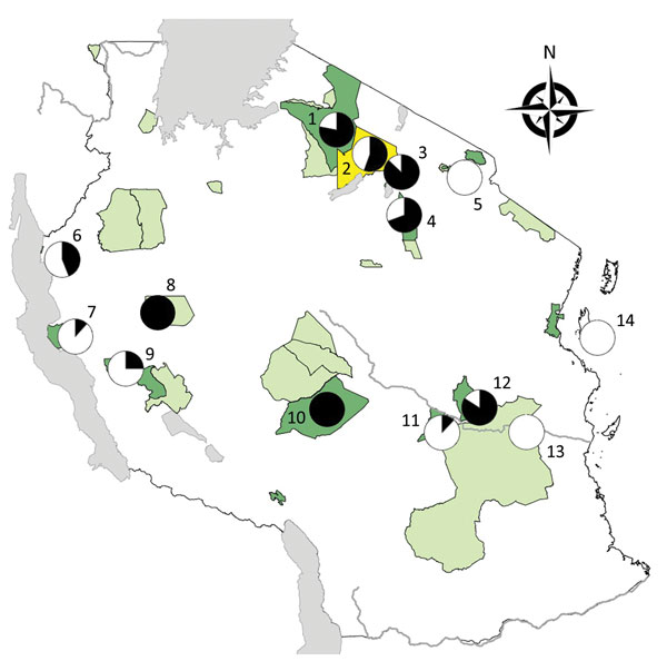 Protected areas and sites where free-ranging nonhuman primates (NHPs) were sampled in a study of Treponema pallidum infection, Tanzania. 1, Serengeti National Park (41 NHPs); 2, Ngorongoro Conservation Area (18 NHPs) 3, Lake Manyara National Park (38 NHPs); 4, Tarangire National Park (26 NHPs); 5, Arusha National Park (14 NHPs); 6, Gombe National Park (32 NHPs); 7, Mahale National Park (17 NHPs); 8, Issa valley (2 NHPs); 9, Katavi National Park (12 NHPs); 10, Ruaha National Park (18 NHPs); 11, U