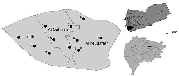 Locations of hospitals and medical centers in Taiz, Yemen, where dengue virus samples were obtained during 2016: 1, Aljawharah Medical Center; 2, Gulf Hospital; 3, Alrefaee Hospital; 4, Althawrah Hospital; 5, Altawn Hospital; 6, Alrawdhah Hospital; 7, Alsawidy Hospital; 8, Palastein Hospital; 9, Alboraihy Hospital; 10, Alhekmah Hospital; 11, Dr. Sadek Shogga Center. Top inset shows location of Taiz in Yemen (black shading), and bottom inset shows location of collection area in Taiz (black shadin