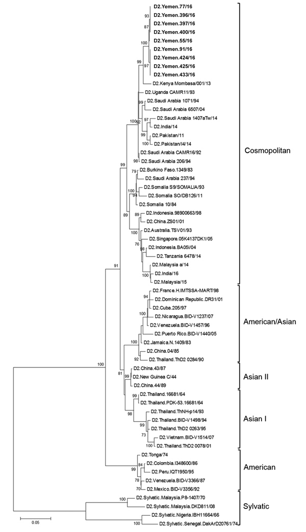 Maximum-likelihood phylogenetic tree of dengue virus type 2 isolates from Taiz, Yemen, 2016 (top branch), and reference isolates. The tree was constructed by using envelope gene sequences. Numbers on nodes indicate bootstrap values (%) for 1,000 replicates. Only bootstrap values &gt;70% are indicated. Scale bar indicates nucleotide substitutions per site.