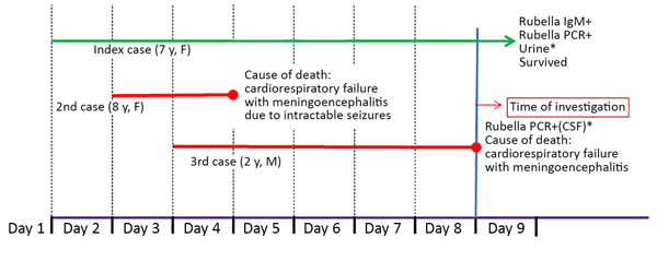 Timeline of clinical events for 3 siblings infected with rubella and encephalitis, India. *Negative for Japanese encephalitis virus, Chandipura virus, dengue virus, West Nile virus, enterovirus, and herpes simplex virus. CSF, cerebrospinal fluid.