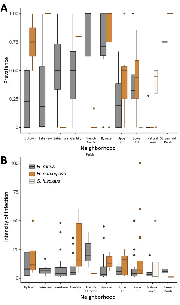 Rat lungworm (Angiostrongylus cantonensis) prevalence (A) and intensity of infection (no. lungworms per infected rat) (B) showing summary statistics across sites for each area, New Orleans, Louisiana, USA, May 2015–February 2017.