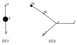 Thumbnail of Mycoplasma pneumoniae sequence type (ST) relationship of 146 strains by eBURST analysis (http://eburst.mlst.net/), South Korea, 2000–2016. Two main CCs were defined without any singleton. ST3 and ST2 were the predicted founder of each CC. Numbers on the diagram correspond to STs. The size of each circle correlates with the number of isolates of each ST. CC, clonal complex.