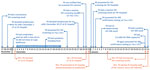 Thumbnail of Timeline of HIV exposure and HIV diagnosis of the index case-patient, P0 (blue), and the HIV exposure of his wife, Mrs. P0 (orange), Hangzhou, China, November 27, 2016–January 24, 2017. CDC, Center for Disease Control and Prevention; LIT, lymphocyte immunotherapy; P, patient; WB, Western blot.