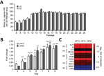 Thumbnail of Characterization of differentiated and undifferentiated HIE in study of human norovirus replication in HIEs. A) Quantification of undifferentiated HIE generated on each passage. Undifferentiated HIEs derived from 2 donors (J2P7 and J3P7) frozen at passage 7 (P7) were recovered from LN2 and embedded in Matrigel (4 plugs per HIE). Cell count was performed at day 7. On that day, undifferentiated HIEs were split 1:2 or 1:3, depending on density, and seeded again in Matrigel. All availab