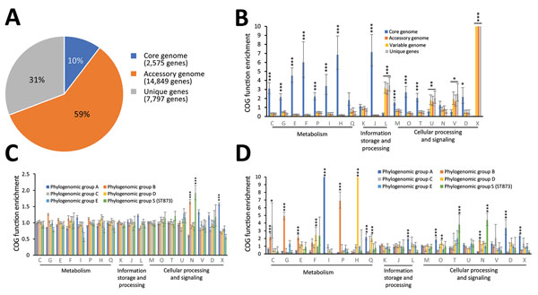 Pangenome analysis of metacluster Enterobacter hormaechei in study of nosocomial outbreak involving carbapenamase-producing Enterobacter strains, Lyon, France, January 12, 2014–December 31, 2015. A) Distribution of COGs); B) functional annotations in the pangenome; C) functional annotations in the variable genome (accessory genome + unique genes); and D) functional annotations for specific genes. Bar charts show the enrichment of COG categories as odds ratios; error bars indicate 95% CIs. Asteri