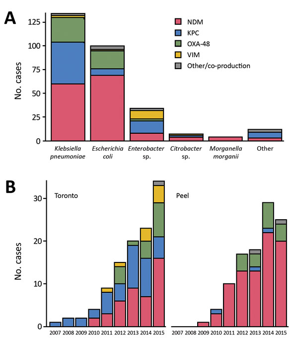 Distribution of carbapenemases in 291 first isolates of carbapenemase-producing Enterobacteriaceae, by enterobacterial species (A) and region (B), Metropolitan Toronto and the Regional Municipality of Peel, south-central Ontario, Canada, 2007–2015. Other enterobacterial species were Serratia marcescens (n = 4), Klebsiella oxytoca (n = 3), Providencia rettgeri (n = 1), and Proteus mirabilis (n =1). Other carbapenemases or co-productions were NDM–OXA-48 (n = 2) and S. marcescens enzyme (n = 1). KP