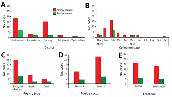 Reassortment events of avian influenza A(H5N1) viruses in samples from Indonesia, 2015–2016, some of which were confirmed using maximum-likelihood analysis with parent strains clade 2.3.21c, 2005-11 (clade 2.1.3.2a), and Asia low pathogenicity avian influenza virus. Parent strains appear above the dotted line and 13 detected reassortment types below the dotted line. HA, hemagglutinin; LPAI, low pathogenicity avian influenza virus; MP, matrix protein; NA, neuraminidase; NP, nucleoprotein; NS, non