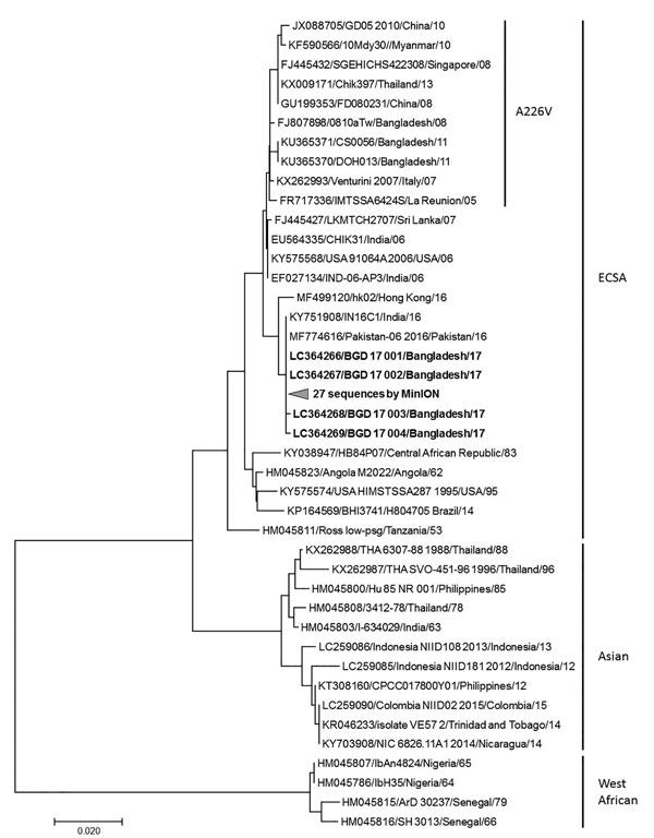 Phylogenic tree for partial chikungunya virus E1 gene nucleotide sequences with reference strains, Apollo Hospitals Dhaka, Dhaka, Bangladesh, June 29–October 31, 2017. Bold indicates sequences obtained in this study. Representative strains of each genotype are named by accession number, strain name, country of origin, and year of isolation. Scale bar indicates nucleotide substitutions per site.