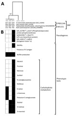 Thumbnail of Genomic and phenotypic characteristics of Salmonella enterica serotype Dublin isolates Str.2011, Str.2014, and Str.2015 from a 74-year-old woman who had recurrent infections involving hip joint prostheses, France. A) Tree constructed after mapping the sequences of the isolates to reference genomes of Salmonella Dublin strains CT_020221853 and 3246 (GenBank accession nos. CP001144.1 and CM001151.1, respectively). The 4 nonsynonymous SNPs and the corresponding coding genes are shown. 