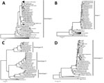 Thumbnail of Phylogenetic tree of DENV serotypes identified in cross-border travelers entering Yunnan Province, China, from Myanmar during 2017. A) DENV-1; B) DENV-2; C) DENV-3; D) DENV-4. The phylogenetic trees were constructed by the maximum-likelihood method with a Kimura 2 parameter model using MEGA 7.0 software (https://www.megasoftware.net). Bootstrap values were set for 1,000 repetitions. Black dots denote strains from this study, and black triangles denote strains from our previous study