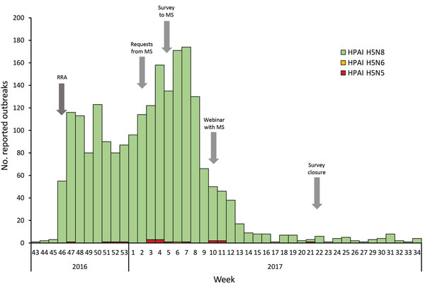 Number of reported highly pathogenic avian influenza outbreaks in birds and time line of the European Centre for Disease Prevention and Control survey (arrows), by week, European Union/European Economic Area and Israel, 2016–17. HPAI, highly pathogenic avian influenza; MS, Member State; RRA, rapid risk assessment.