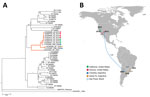 Thumbnail of Phylogeny and spread of St. Louis encephalitis virus (SLEV) in the Americas. A) Multiple sequence alignment of 44 complete envelope protein SLEV sequences obtained from GenBank. The orange highlighted cluster contained the emerging SLEV strains isolated in Argentina, Brazil, and western United States. Alignment was performed by ClustalX, followed by tree generation using a neighbor-joining algorithm using MEGA 6 software (https://www.megasoftware.net). Sequences are labeled by their