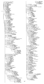 Thumbnail of Maximum-likelihood phylogeny generated with all West Nile virus sequences from New York, Virginia, Georgia, Illinois, North Dakota, South Dakota, Texas, and Colorado (n = 379) in study of terrestrial bird migration and West Nile virus circulation, United States. Sequence names include the 2-letter state abbreviation to indicate the origin of isolation, followed by the year. Multiple isolates collected from the same state within the same year are differentiated by letter. GenBank acc