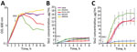 Thumbnail of Lysis curves and levels of Stx produced by STEC O157:H7 strains after MMC treatment in study of Stx–producing E. coli. The lysis curves (A) and levels of Stx1 (B) and Stx2 (C) production by 5 STEC O157:H7 strains after the MMC treatment are shown. After the addition of MMC, the OD600 of each strain was measured every hour for 8 hours, and 100 μL of the culture was collected at each time point. Cell lysates were prepared, and the Stx1 and Stx2 concentrations in the soluble fractions 