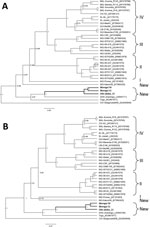 Thumbnail of Bayesian phylogenetic analyses based on nucleotide sequences of the partial glycoprotein and nucleoprotein genes of Lassa virus (LASV), showing the placement of the new sequences (in boldface) isolated from Mus baoulei pygmy mice, in comparison with other sequences representing the members of LASV lineages I–IV. A) Glycoprotein, 1,408 nt; B) nucleoprotein, 1,654 nt. The trees are rooted by Gbagroube, a LASV-like virus isolated from Mus setulosus mice in Côte d’Ivoire. Statistical su