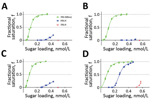 Receptor-binding profiles of wild-type influenza A(H9N2) viruses from Pakistan. Wild-type UDL-01/08 virus SKP and 3 contemporary wild-type viruses were generated by using reverse genetics, and receptor-binding to 3 receptor analogs was assayed by using biolayer interferometry. Sugars tested were 3SLN(6Su) (green), 6SLN (blue), and 3SLN (red). A) H9N2 A/chicken/Pakistan/UDL-01/2008; B) H9N2 A/chicken/LH-55/2014; C) H9N2 A/chicken/SKP-989/2015; D) H9N2 A/chicken/SKP-827/2016.