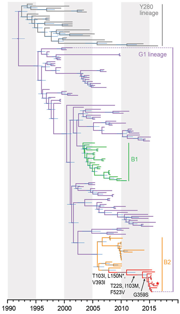 Evolutionary relationships of the influenza A virus H9-HA gene isolated from avian and human hosts, Pakistan, 1998–2016. The phylogeny was generated using the uncorrelated lognormal relaxed molecular clock, the SRD06 codon position model, HKY85 plus gamma substitution model, and a Gaussian Markov random field (GMRF) Bayesian skyride in BEAST version 1.8.4. Two independent runs of 100 million Markov chain Monte Carlo generations were performed. Horizontal node bars represent the 95% highest poste