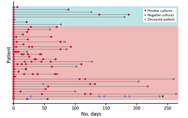 Long-term Candida auris colonization of clinical and screening case-patients, New York, USA, 2013–2017. Each patient for whom follow-up cultures were performed is represented by a horizontal line. The bottom 30 lines (pink shading) indicate clinical case-patients; the top 8 (blue shading) indicate screening case-patients. Follow-up cultures were collected from a variety of sites, typically axilla and groin and often nares, rectum, urine, and wounds. Persons were considered free of colonization w