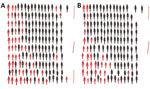 Thumbnail of Location of inmates in cells 4 and 7, Mbuji-Mayi Central Prison, Democratic Republic of the Congo, February 2015. A) Cell 4 is 37 m2, with 1 door (solid red line) and 2 windows (dashed red lines). B) Cell 7 is 37 m2, with 1 door (solid red line) and 1 window (dashed red line). Red figures indicate TB patients. Both cells are in the designated area 2 and are extremely overcrowded, having &gt;163 inmates in each. Each inmate was assigned a space of 0.22 m2. Most (60%) TB patients were