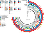 Thumbnail of Phylogenetic reconstruction of all 170 isolates and the reference Tohama I (GenBank accession no. CP010964). Isolate metadata and molecular characteristics are color coded, as detailed in the key. Scale bar indicates substitutions per site. CDC, Centers for Disease Control and Prevention; fim, fimbria; fwd, forward insertion; rev, reverse insertion; PFGE, pulsed-field gel electrophoresis; prn, pertactin; ptx, pertussis toxin.