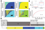 Thumbnail of Source prediction by Random Forest classifier. A) Predicted source probabilities for zoonotic Salmonella enterica serotype Typhimurium isolates. Each vertical line in a panel is color coded by predicted source probabilities to proportion: cyan, bovine; yellow, poultry; blue, swine; light green, wild bird. B) Comparison of SDIs of predicted probabilities between BPSW and non-BPSW isolates. For each isolate, SDI was calculated among predicted probabilities of the 4 sources. Red horizo