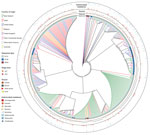 Thumbnail of Neighbor-joining tree of 192 virulence genes of 404 Escherichia coli serogroup O26 isolates in investigation of historical importation of Shiga toxin–producing E. coli serogroup O26 and nontoxigenic variants into New Zealand. Branch lengths are ignored to better illustrate the country of origin of each isolate; therefore, closely spaced trellis-like branches have identical virulence profiles. ST, sequence type.
