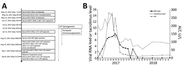 Natural course of HEV-C infection in a 56-year-old man at Queen Mary Hospital, Hong Kong. A) Timeline of major clinical events. All days are post transplant. B) Kinetics of liver function tests, tacrolimus levels (μg/L), and plasma HEV-C RNA load (log10 copies/mL) with relation to ribavirin therapy. ALT, alanine aminotransferase; HEV-C, Orthohepevirus C; LFT, liver function test.