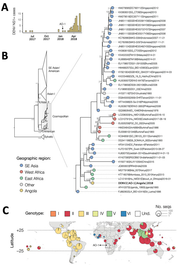 Investigation of DENV infections in Luanda, Angola, January 1, 2016–May 15, 2018A) Number of DENV infections (i.e., cases positive for DENV NS1), Luanda, Angola, May 1, 2017–May 15, 2018. B) Midpoint rooted maximum-likelihood phylogeny of DENV-2 whole genomes. Support for branching structure is shown by bootstrap values at nodes. On the right side, the cosmopolitan genotype clade containing the Angola DENV-2 sequence is expanded. Colors indicate geographic location of sampling. The Angola DENV-2