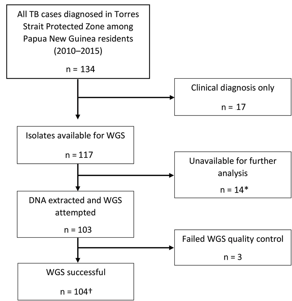 Flow diagram of included Mycobacterium tuberculosis isolates from Papua New Guinea citizens residing in Torres Strait Protected Zone, 2010–2015. *Isolates unable to grow or were contaminated. †Included were 4 additional isolates among Queensland residents that were a part of an epidemiologic cluster linked to the Torres Strait Protected Zone. TB, tuberculosis; WGS, whole-genome sequencing.