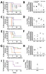 Thumbnail of Neurovirulence of California serogroup (CSG) viruses in adult, aged, and weanling mice after intranasal inoculation in study of neuropathogenesis of encephalitic CSG viruses. Groups of adult (A, B) and aged (C, D) mice (6–8 mice per group) were inoculated with 104 PFU of each virus; groups of adult (E, F) and aged (G, H) mice (6–8 mice per group) were inoculated with 102 PFU of LACV, SSHV, TAHV, and JCV; and 5 weanling mice were inoculated with 104 PFU of INKV (I, J). E, G) Survival