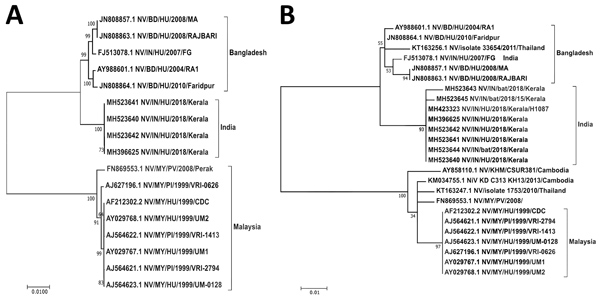 Maximum-likelihood phylogenetic tree of the nucleocapsid gene (region 1293–1608) of Nipah virus from Kerala, India, 2018, and reference sequences. A) Complete coding region. The evolution distance for 17 complete sequences was generated using the Tamura-Nei model plus gamma distance using different isolates. Bootstrap replication of 500 replication cycle was used for the statistical assessment of the generated tree. B) Partial nucleocapsid gene. The evolution distance for 25 nucleocapsid gene se