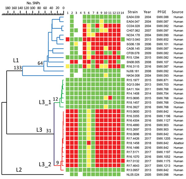 Dendrogram of 36 representative Salmonella enterica serovar Anatum strains from Taiwan, 2004–2017, constructed with whole-genome SNP profiles with 883 SNPs. The complete genomic sequence of Salmonella Anatum strain GT-38 (GenBank accession no. CP013226) was used as the reference for SNP calling. Red, resistant; yellow, intermediate; green, susceptible. Lanes: 1, cefoxitin; 2, cefotaxime; 3, ceftazidime; 4, ertapenem; 5, nalidixic acid; 6, iprofloxacin; 7, gentamicin; 8, ampicillin; 9, chloramphe