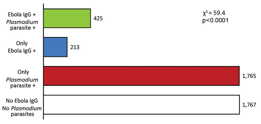 Frequency of Plasmodium spp. infection and Zaire ebolavirus–specific IgG seropositivity among participants in study of exposure to Ebola virus and risk for malaria, rural Gabon. +, positive.