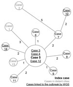 Thumbnail of Minimum-spanning tree of single-nucleotide polymorphism differences from 14 Mycobacterium tuberculosis outbreak isolates, France, 2017–2018. Cases were numbered according to sampling chronology. Sizes of circles are proportional to the number of isolates with identical genomes; numbers adjacent to lines indicate number of single-nucleotide polymorphism differences between each node. WGS, whole-genome sequencing.