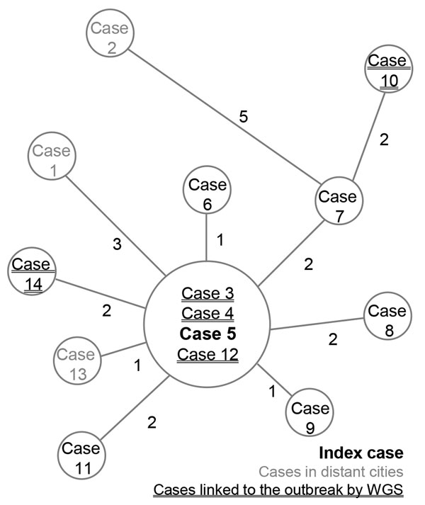 Minimum-spanning tree of single-nucleotide polymorphism differences from 14 Mycobacterium tuberculosis outbreak isolates, France, 2017–2018. Cases were numbered according to sampling chronology. Sizes of circles are proportional to the number of isolates with identical genomes; numbers adjacent to lines indicate number of single-nucleotide polymorphism differences between each node. WGS, whole-genome sequencing.