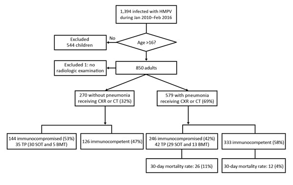 Flowchart for analysis of clinical and radiologic characteristics of adults with HMPV infections, South Korea. BMT, bone marrow transplant; CT, computed tomography; CXR, chest radiograph; HMPV, human metapneumovirus; SOT, solid organ transplants; TP, transplant.