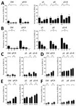 Thumbnail of IgG seroprevalence against VAR2CSA selected antigens according to study period, country, anemia status and intermittent preventive treatment group in study of Plasmodium falciparum in pregnant women. A) Pregnant women from Mozambique delivering during different periods. B) HIV-uninfected pregnant women from Benin, Gabon, Mozambique, and Tanzania. C) HIV-infected pregnant women from Kenya and Mozambique. D) Nonanemic (NA) and anemic (A) pregnant women. E) HIV-uninfected pregnant wome