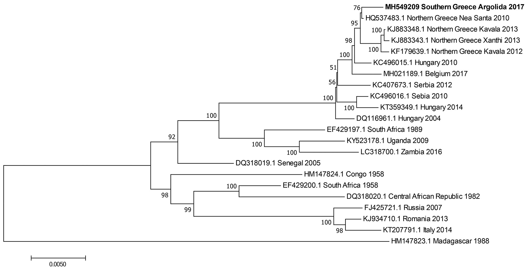 Phylogenetic tree of West Nile virus lineage 2 strains from a Eurasian magpie in Greece (bold) compared with reference strains. Each strain is listed by GenBank accession number, geographic origin, and collection date. Bootstrap values are shown as percentages at each tree node. Scale bar indicates substitutions per site.