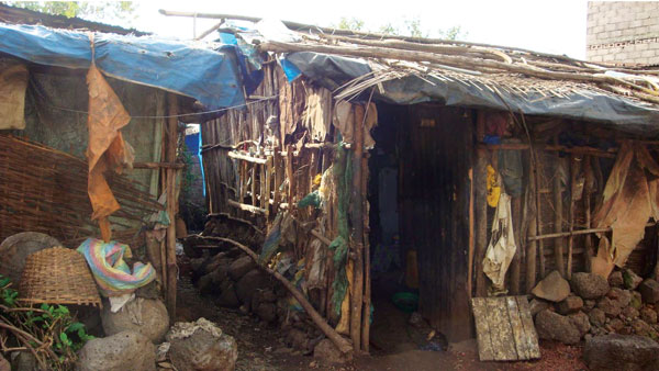 Typical boarding house in Bahir Dah, Ethiopia, in which many day laborers sleep at night during the heavy rainy season (June–September; Table) because it is too wet to sleep outdoors. At other times of the year when it does not rain so heavily and so often, day laborers in Bahir Dah tend to sleep outdoors and, thus, do not have to pay for lodging in boarding houses. Image courtesy of S.C. Barker.
