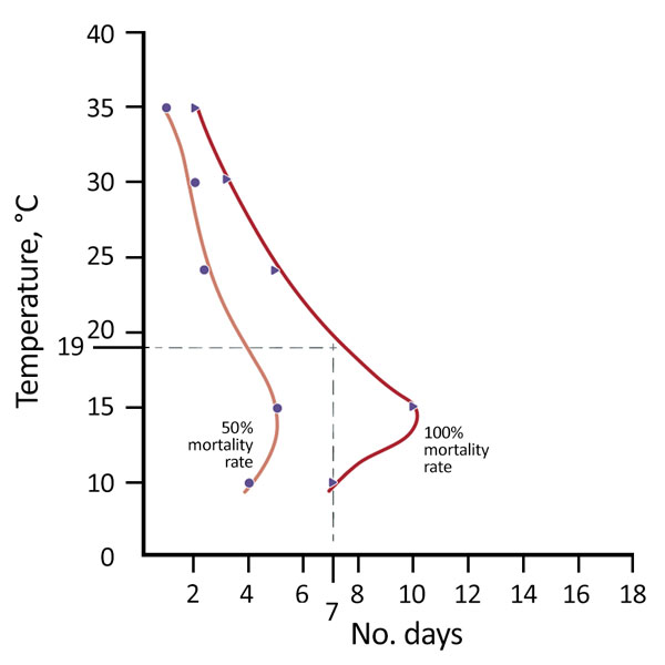 Number of days needed to starve to death adult and nymphal clothes lice (Pediculus humanus) at 5 temperatures (10°C, 15°C, 24°C, 30°C, and 35°C), Ethiopia. The mortality rate was 50% for lice after 5 days without a blood meal (i.e., from the host) and 100% after 10 days without a blood meal, regardless of temperature. Dotted lines indicate temperatures of 0°C–19°C and days 0–7. Data were obtained from Buxton (42), and the figure was modified from Busvine (30).