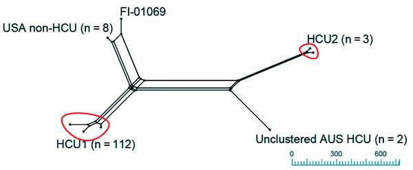 Neighbor Net splitstree of Mycobacterium chimaera isolates: relationships between M. chimaera isolates (n = 124) mapped against the M. chimaera strain CDC 2015–22–71 heater–cooler unit (HCU) reference genome (18,190 single nucleotide polymorphisms [SNPs] in 3,815,639 core positions). Isolates were grouped with a threshold of &lt;500 SNPs to the nearest cluster. Clustered HCU isolates, including the reference strain CDC 2015-22-71, comprise the HCU1 cluster (n = 112) and HCU2 (n = 3). Unclustered