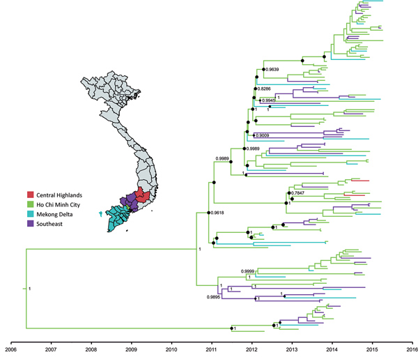 Maximum-clade credibility tree illustrating results of phylogeographic analysis of enterovirus A71 subgenogroup B5 coding sequences, Vietnam, July 2013–April 2015. Black circles indicate posterior probabilities ≥70% and state probabilities ≥70% at all nodes. Branch colors represent sampling locations from 5 discrete states in Vietnam (inset map; https://mapchart.net). Small sample sizes from individual provinces precluded phylogeographic analyses at a finer spatial scale. Except for Ho Chi Minh 