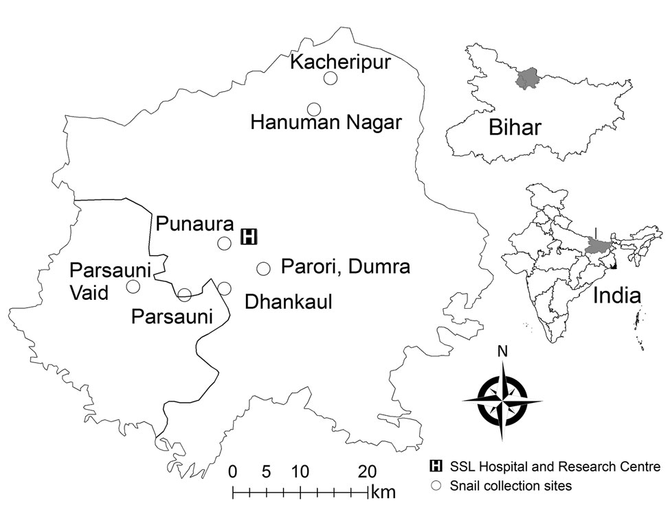 Collection sites of clinical samples from patients infected with Artyfechinostomum sufrartyfex trematodes at SSL Hospital and Research Center, Sitamarhi, Bihar, India. Black border indicates district boundary. Insets show location of Sitamarhi in Bihar and location of Bihar in India. SSL, Shri Shubh Lal. 