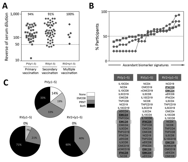 Overall profile of immune response after primary, secondary, or multiple 17DD vaccination for YF. A) Levels of 17DD-YF–specific neutralizing antibodies; B) 17DD-YF–specific phenotypic and functional biomarkers; and C) resultant memory status PRNT and EMCD8 measurement (PRNT and EMCD8) for individual participants. Results are expressed in reverse of serum dilution, percentage of participants with overlaid biomarker signatures, and resultant memory status at 1–5 years after primary (gray circle), 