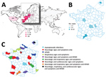 Thumbnail of Geographic locations and numbers of enterovirus A71 (EV-A71) subgenogroup C1v2015 infections reported during 2015–2017. A) Countries in which EV-A71 C1v2015 was reported. The year the virus was first reported is indicated. The size of Europe is increased for easier visualization. B) Geographic distribution and number of cases of EV-A71 C1v2015 infection reported in hospitals, by department, France, 2016–2017. C) Geographic distribution of clinical manifestations associated with EV-A