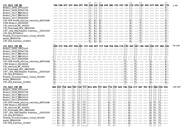 Alignment of a fragment of yellow fever virus 771_2017_CSF_ NS5 sequence (207 bp) from child with wild-type yellow fever virus in CSF, Brazil, 2017, with other yellow fever virus sequences. Sequences were obtained from GenBank and aligned by using standard parameters of ClustalW (http://www.clustal.org). Shaded boxes indicate major variations among wild-type virus sequences and vaccine virus sequences. Dots indicate sequence identity. BH, Belo Horizonte; CSF, cerebrospinal fluid.