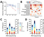 Thumbnail of Microbiome and AMR gene dynamics in international travelers. A) Longitudinal profile of traveler gut microbiome diversity measured by Shannon diversity Index. Traveler 5 (T5) had a Shannon diversity index &gt;3 SDs below the mean when measured at 30 days and 6 months posttravel. B) Microbes, by genus, demonstrating the greatest fold change in abundance after travel on the basis of DNA sequencing nucleotide alignments. C) Total number of AMR genes identified with &gt;20% allele cover