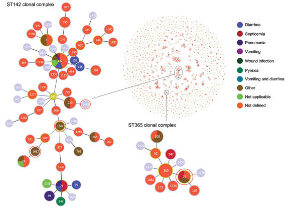 Population snapshot obtained using goeBURST (http://www.phyloviz.net/goeburst) of the 1,795 STs available to date in the Bacillus cereus multilocus sequence typing database overlaid by isolate data of human diseases. Each circle represents an ST. Size of the circle is logarithmically proportionate to the number of isolates represented by a given ST. Two ST clonal complexes are enlarged; STs highlighted in red circles were identified during investigation of an outbreak at Assam Medical College &a